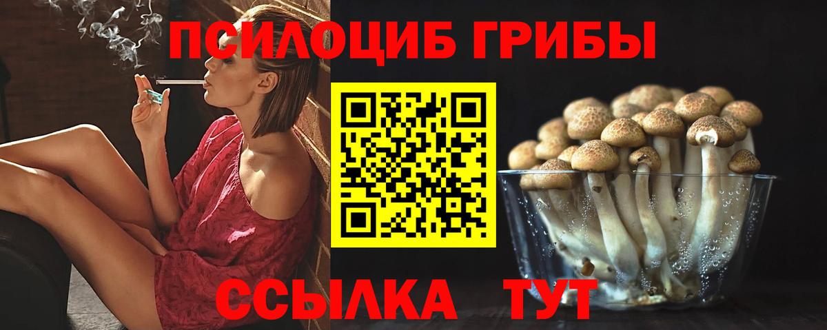 Галлюциногенные грибы мицелий Михайловка